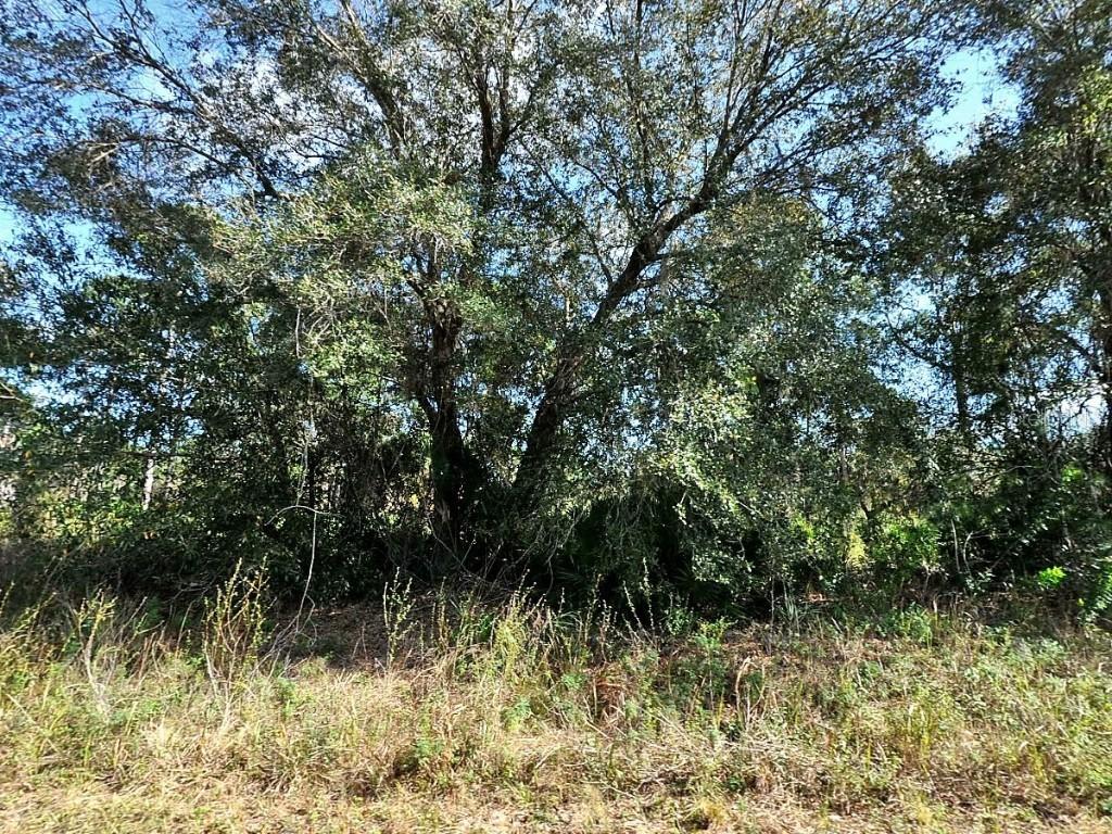 Longfellow Ln., North Port, FL 34288
