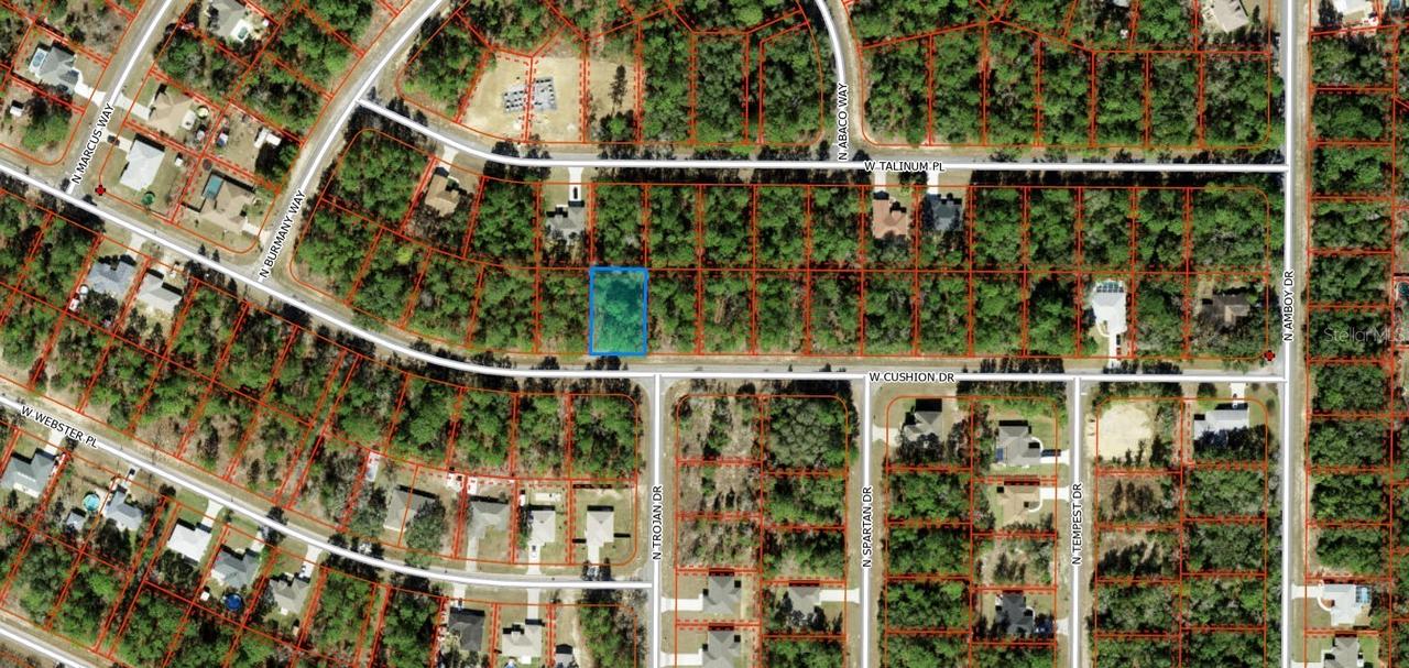 3357 W Cushion Dr., Citrus Springs, FL 34433