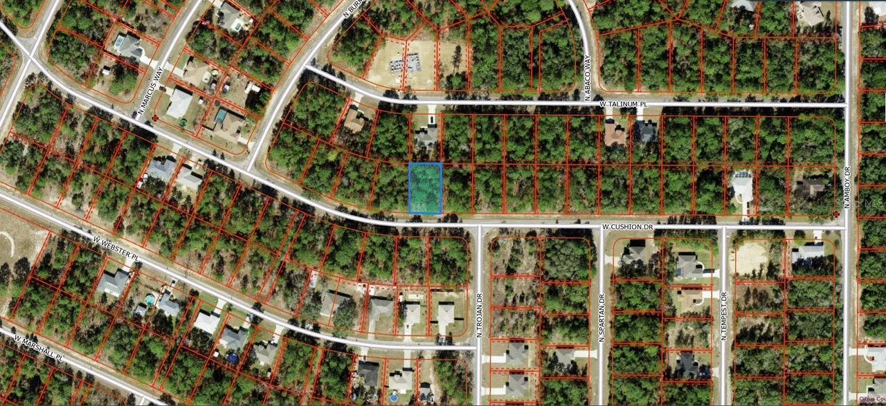 3369 W Cushion Dr., Citrus Springs, FL 34433