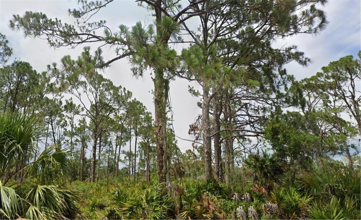 13498 Fairbanks Ave., Port Charlotte, FL 33953