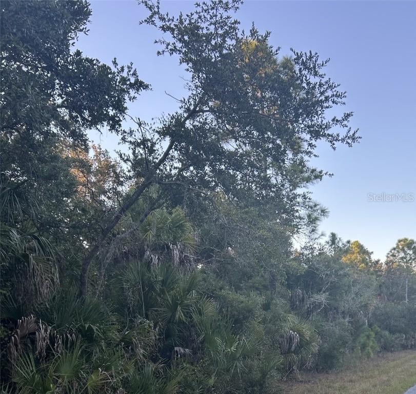 23391 Buckner Ave., Port Charlotte, FL 33980