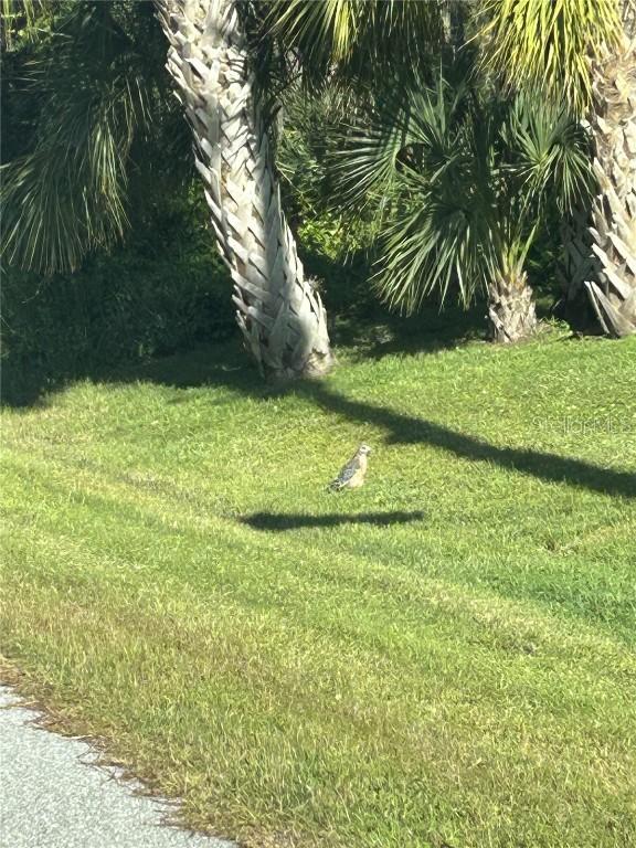 23 Mooring Pl., Placida, FL 33946