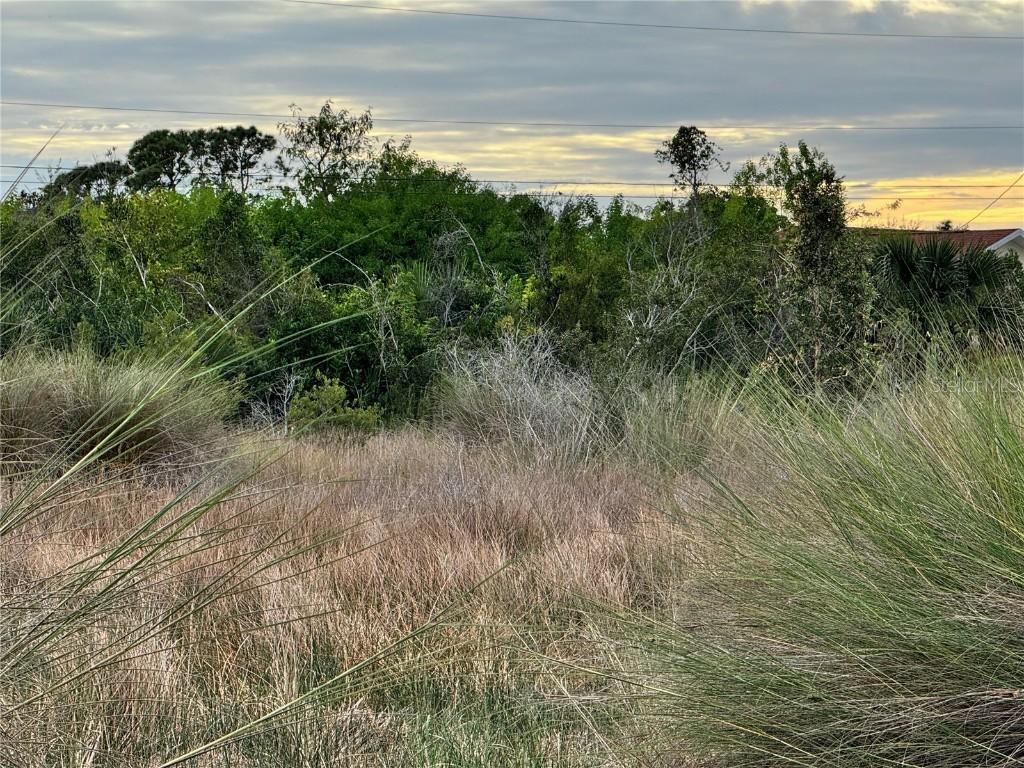 15769 Hennipen Cir., Port Charlotte, FL 33981