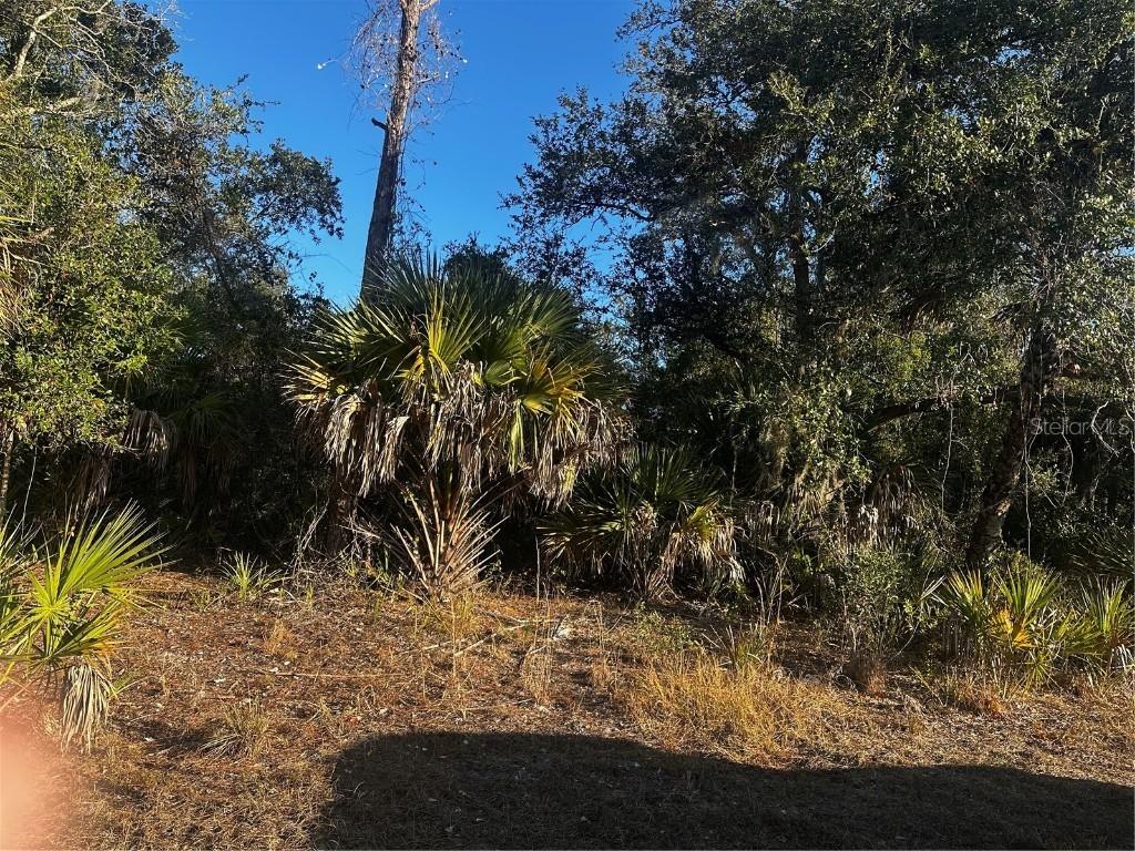 Lanai Ave., North Port, FL 34288