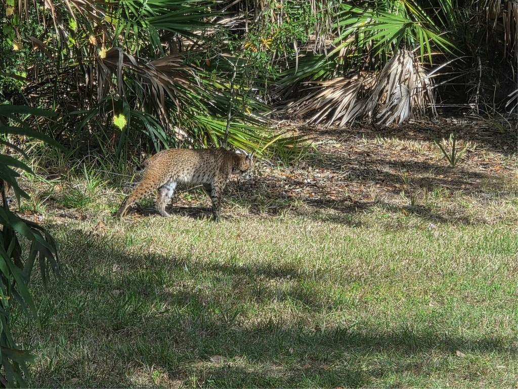 2212 Wakefield St., Port Charlotte, FL 33948