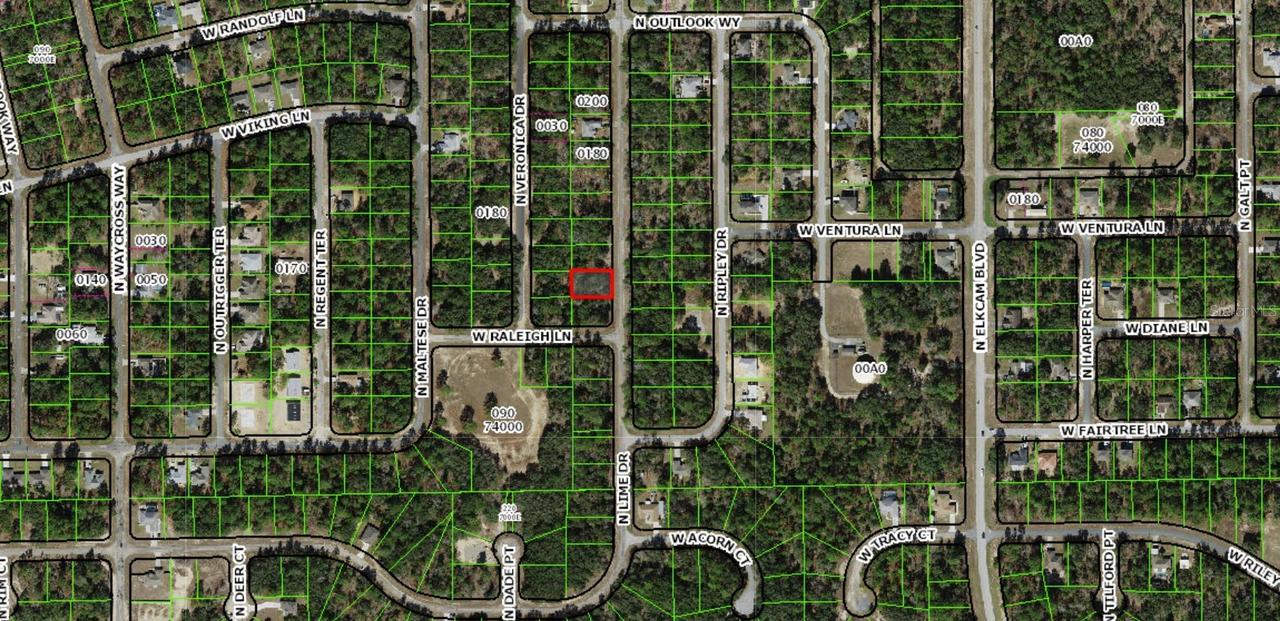7118 N Lime Dr., Citrus Springs, FL 34433