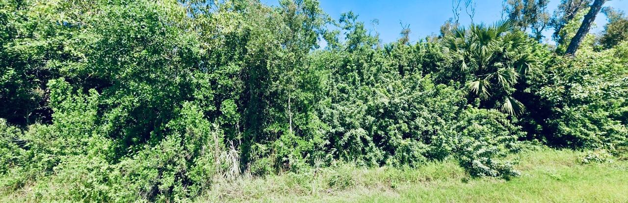 14276 Myakka Ave., Port Charlotte, FL 33953