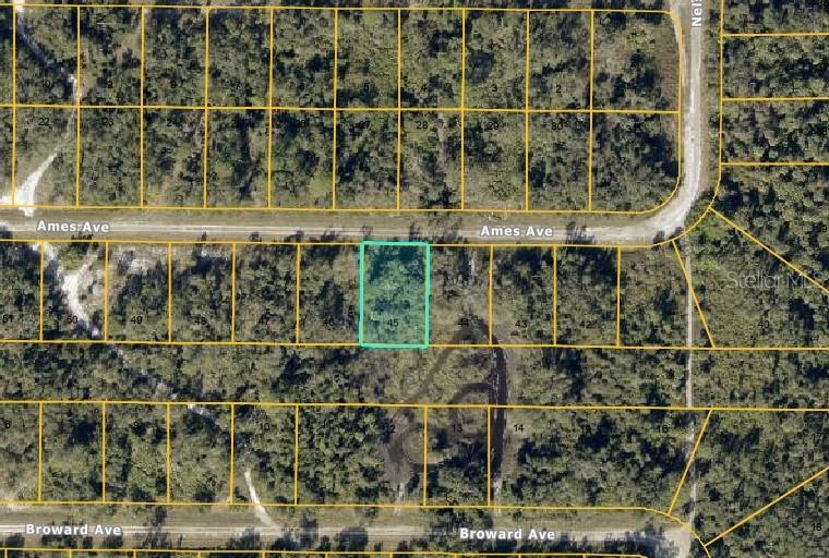 Lot #45 Ames Ave., North Port, FL 34291