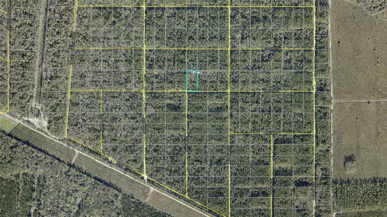 21-10-28-2775-00040-1020 Olson St., Hastings, FL 32145