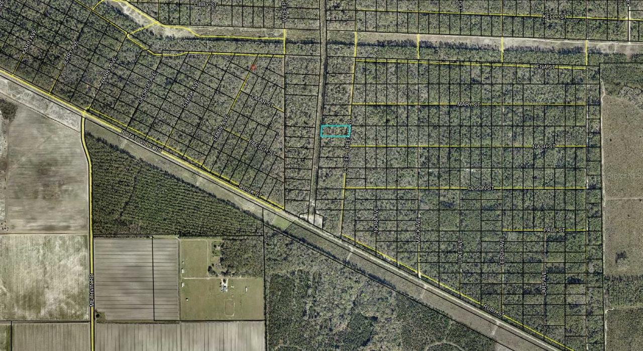 E Deep Creek Blvd., Hastings, FL 32145
