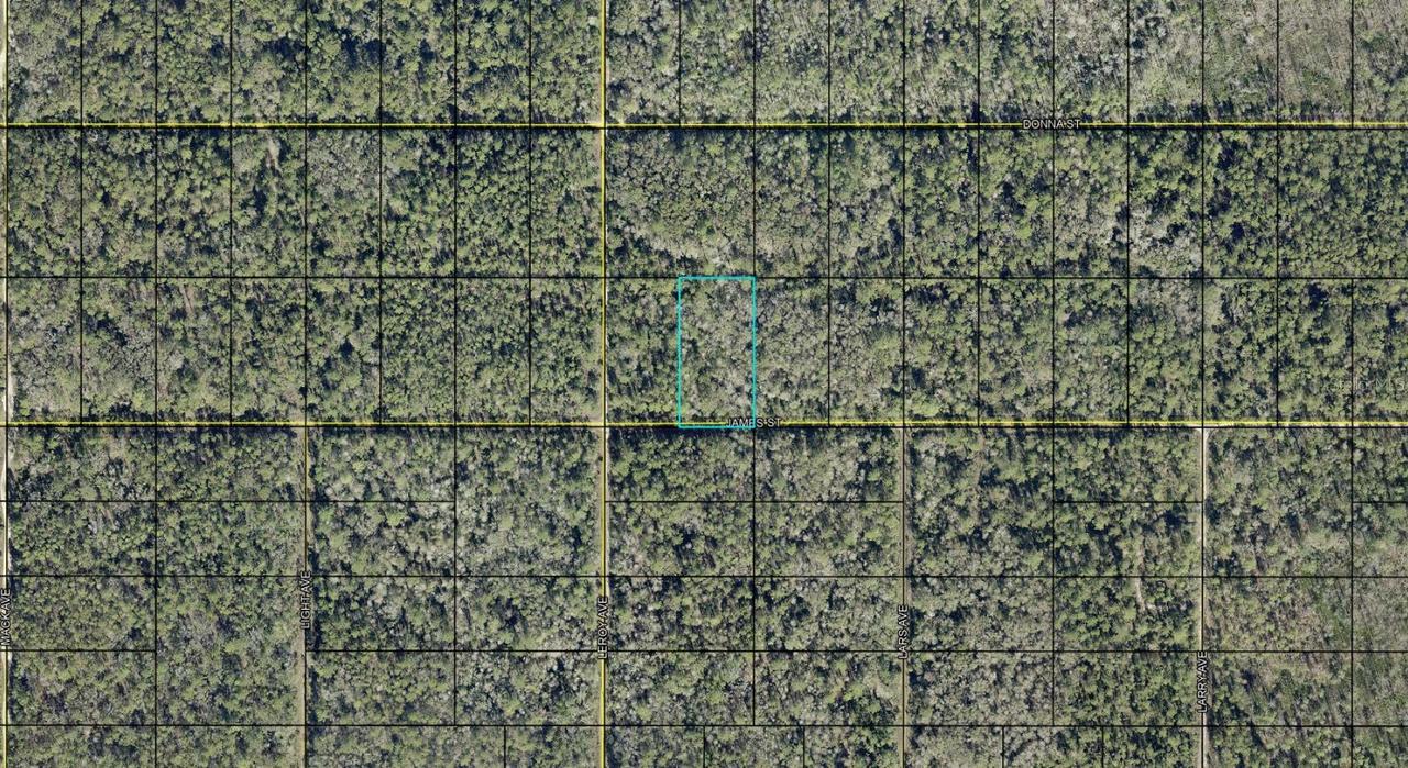 James St., Hastings, FL 32145