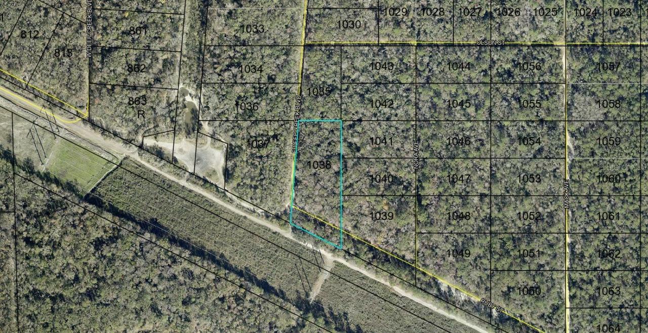 E Deep Creek, Hastings, FL 32145