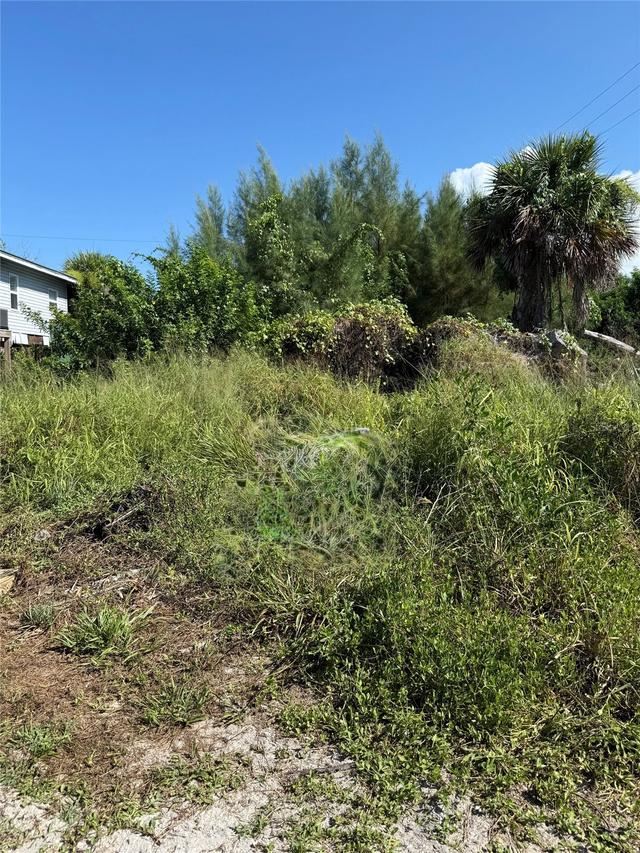 8990 Seagrape Ln., Placida, FL 33946
