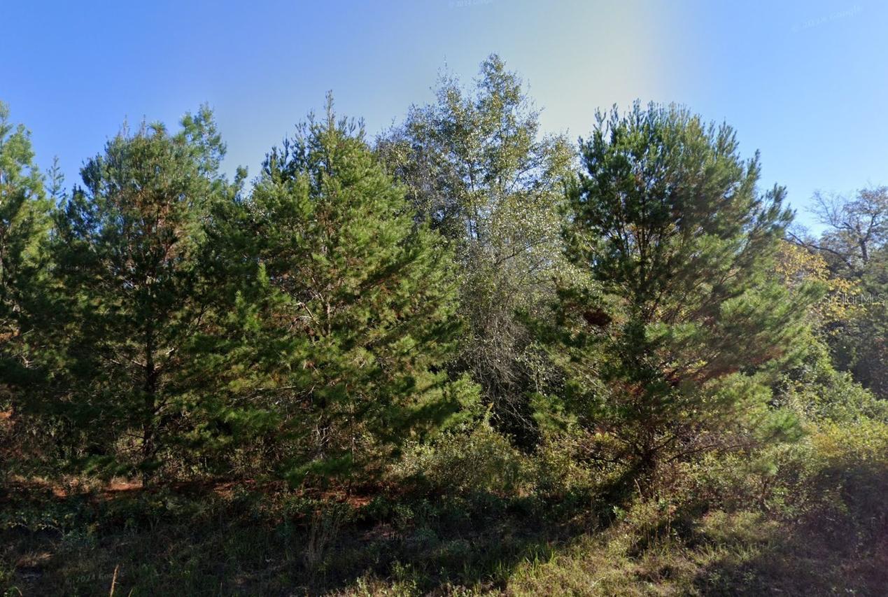 Parkview Lot 13 Dr., Chipley, FL 32428