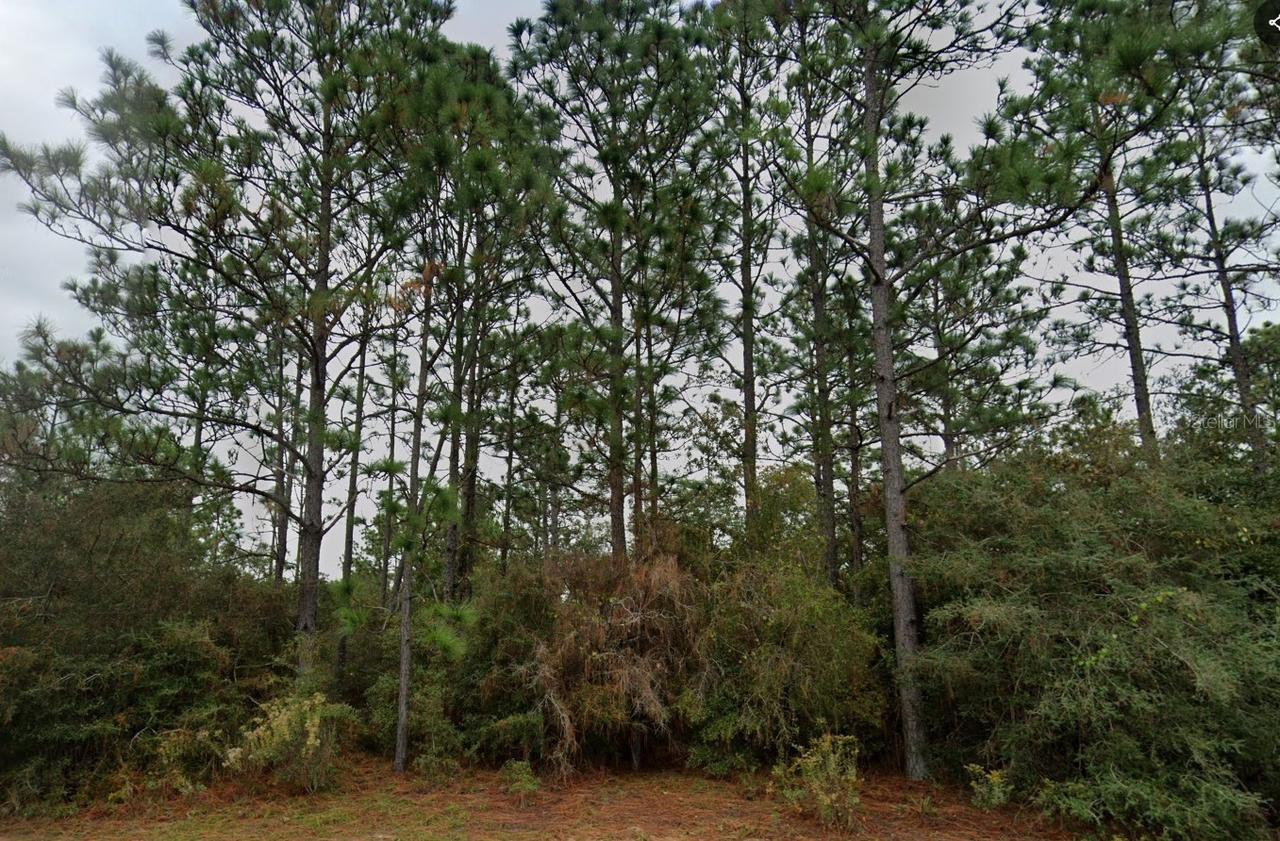 Deltona Blvd., Chipley, FL 32428