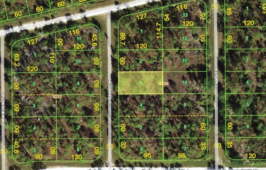 13346 Bambi Ter., Punta Gorda, FL 33955