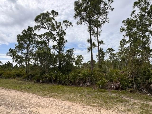 27430 Chrysalis Dr., Punta Gorda, FL 33955