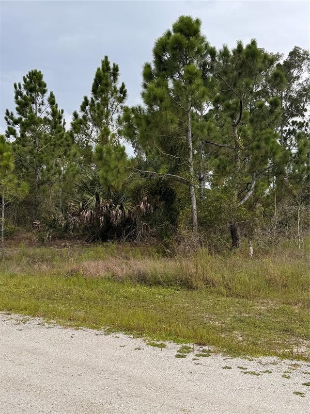 13279 Carousel Dr., Punta Gorda, FL 33955