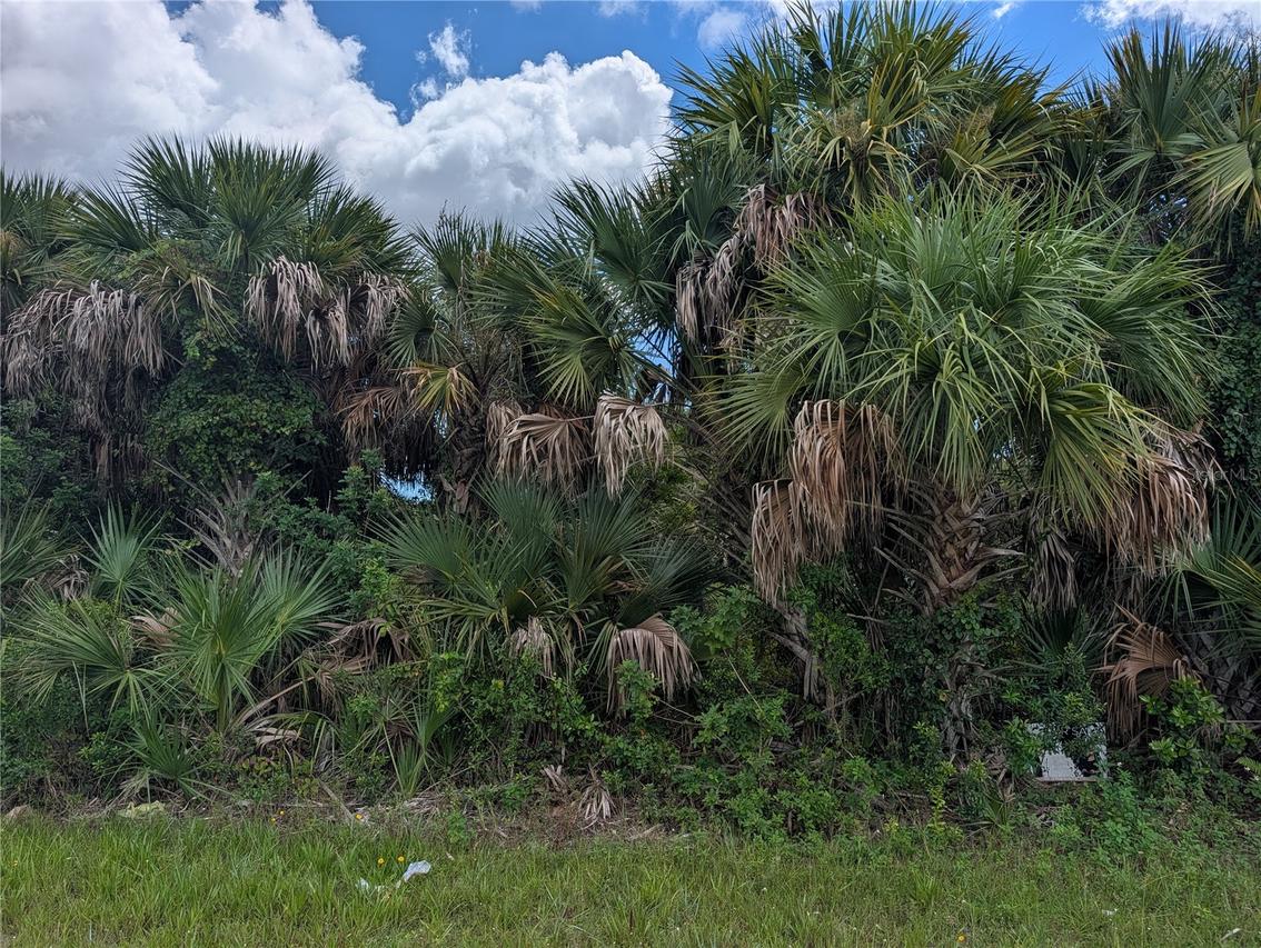 13337 Appleton Blvd., Port Charlotte, FL 33981