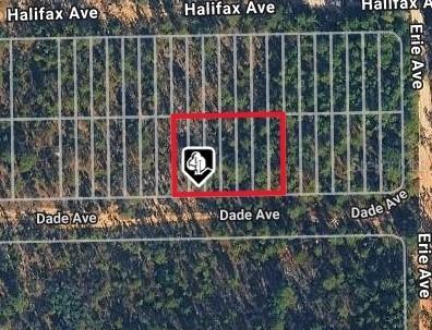 Dade Ave, Interlachen, FL 32148