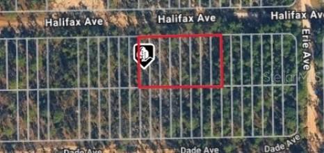 Halifax Ave, Interlachen, FL 32148