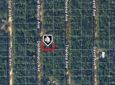 920 Del Monaco Ave., Interlachen, FL 32148