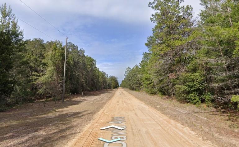 David Ave, Interlachen, FL 32148