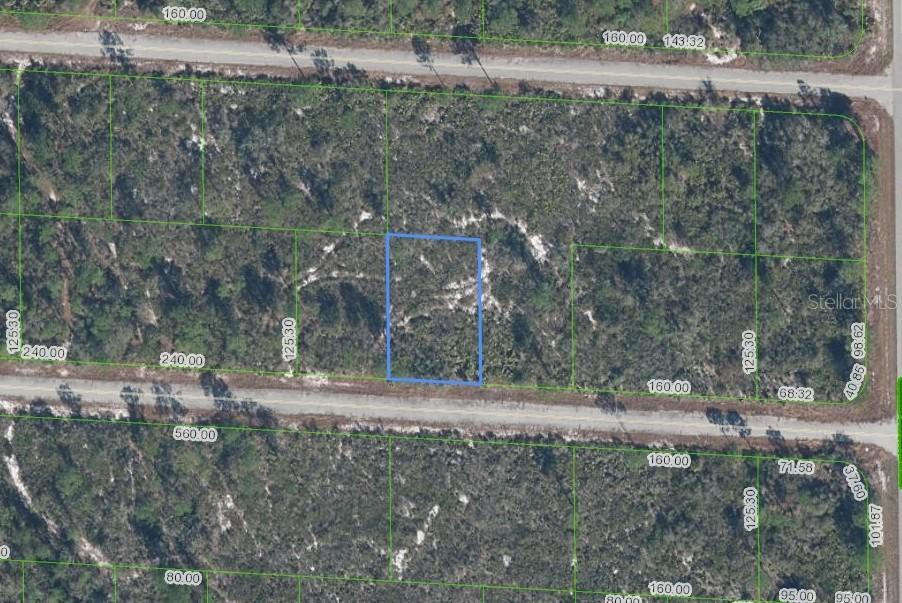 3509 Spoonbill Ave., Lake Placid, FL 33852