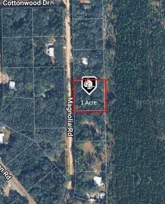 209 Magnolia Rd., Hawthorne, FL 32640