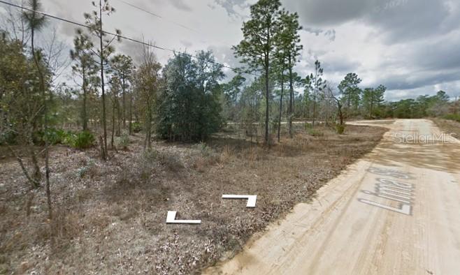 Lima St, Interlachen, FL 32148