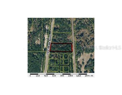 Treiman Blvd., Webster, FL 33597