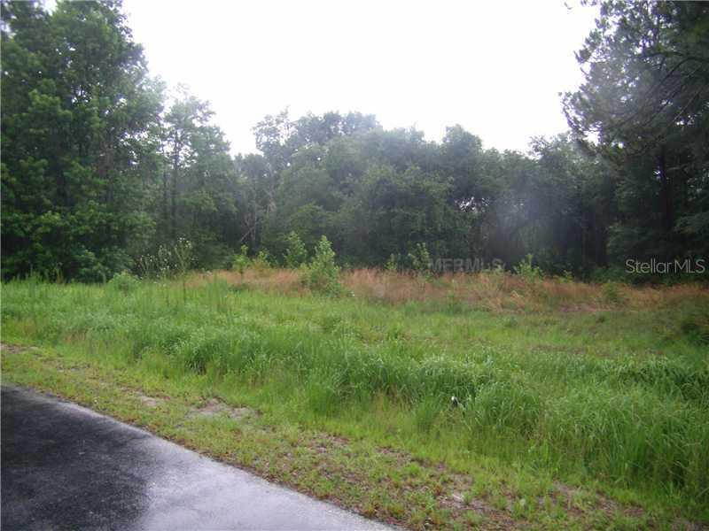 8810 Woodleaf Blvd., Wesley Chapel, FL 33544