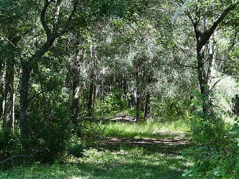 Bellamy Rd., Tampa, FL 33625