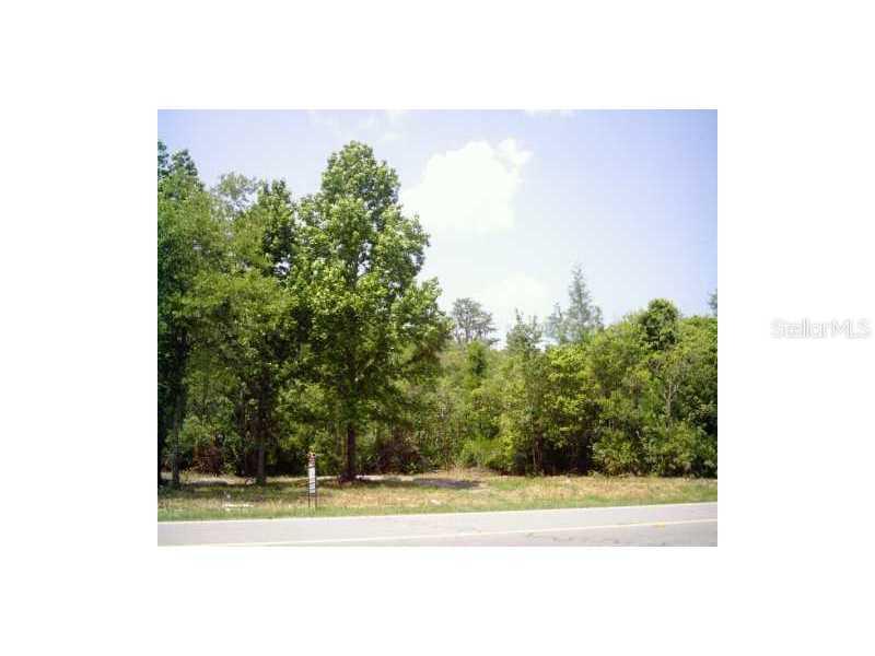 1049 Altamont Ln., Odessa, FL 33556