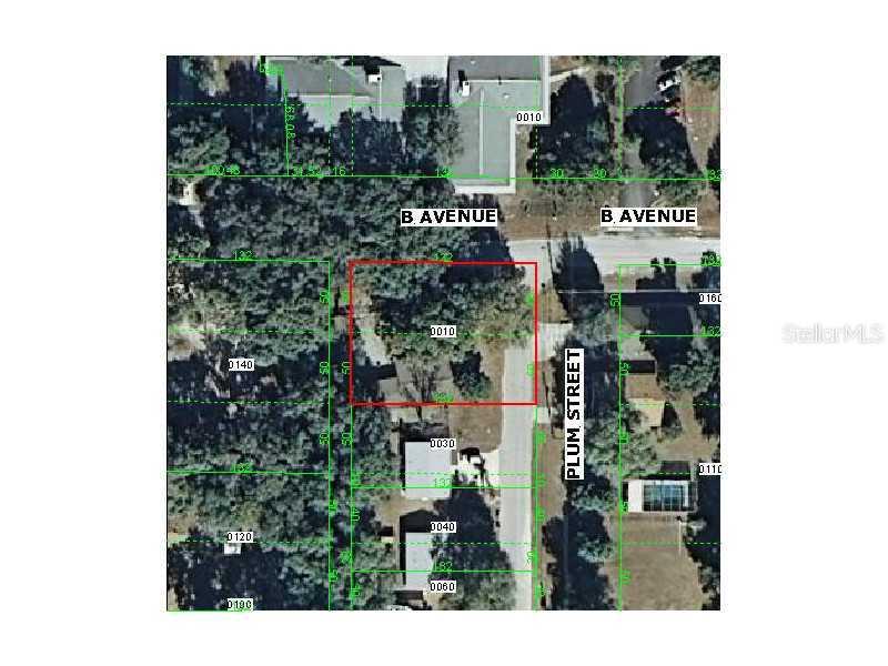 4807 Plum St., Zephyrhills, FL 33542