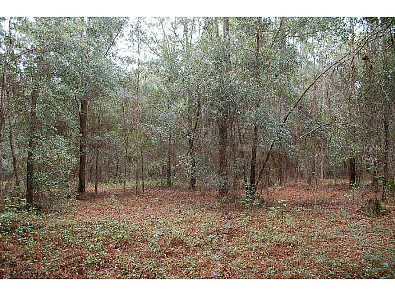 Virginia Lee Cir, Brooksville, FL 34602