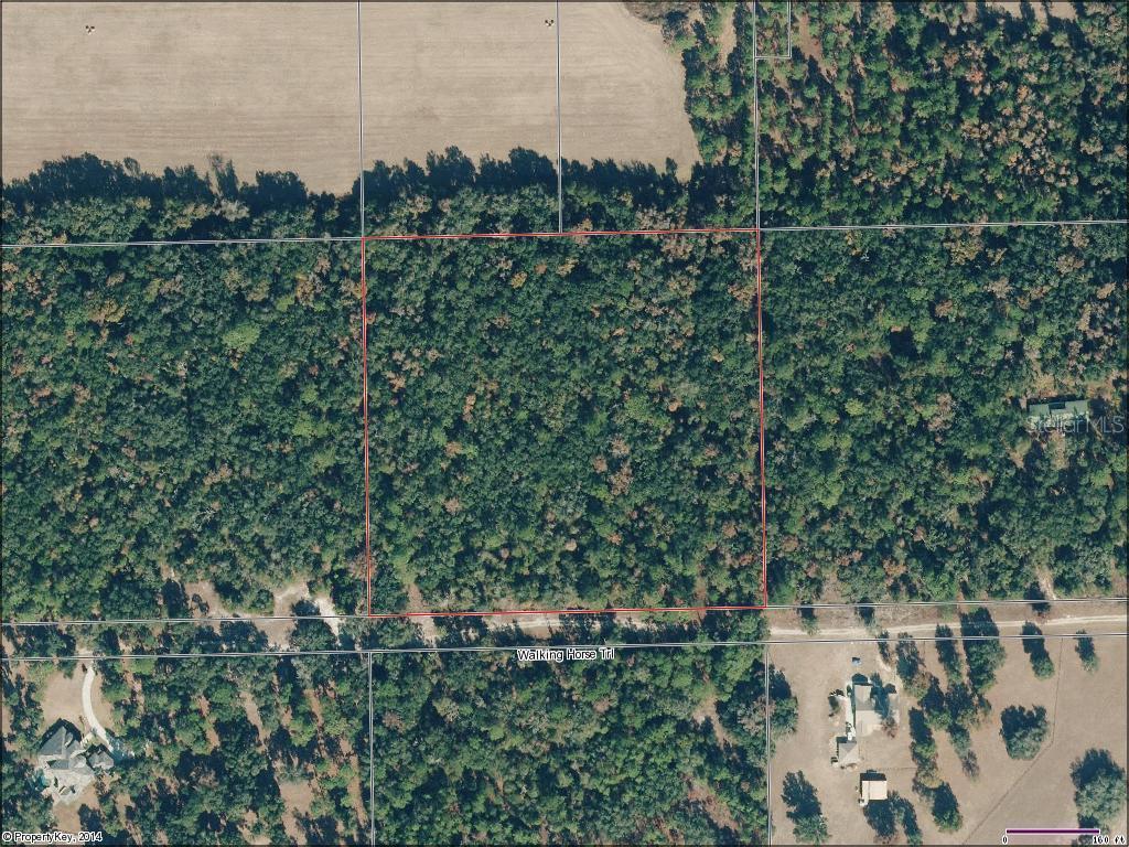 Walking Horse Tr., Brooksville, FL 34601