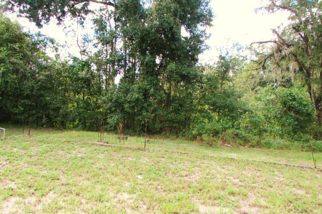 126 W Chapman Rd., Lutz, FL 33548