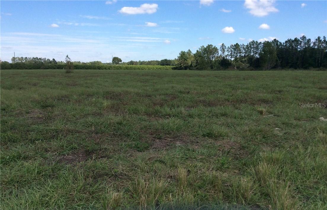 Antonio Way, Dade City, FL 33525