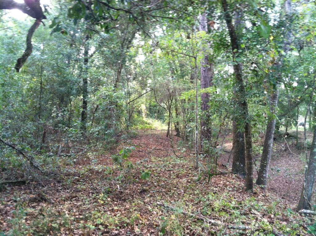 Shady Grove Rd., Groveland, FL 34736