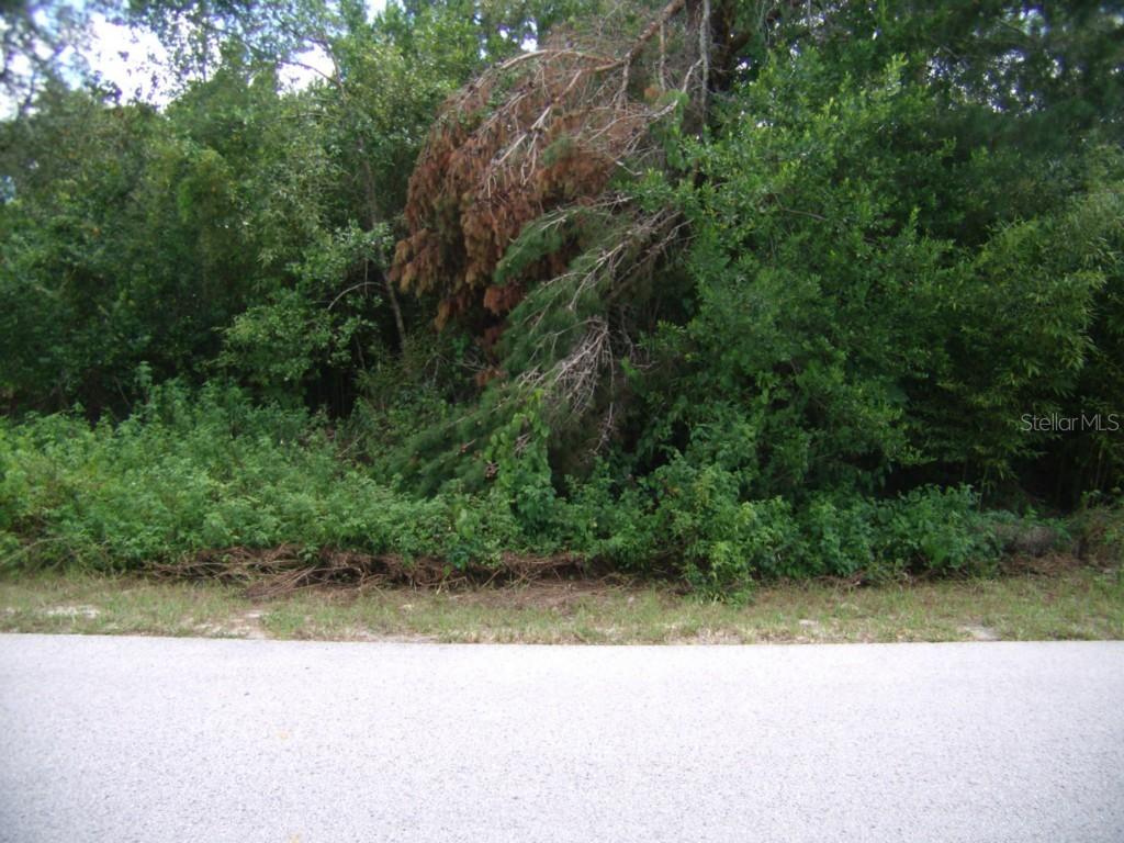Colma St., Brooksville, FL 34606