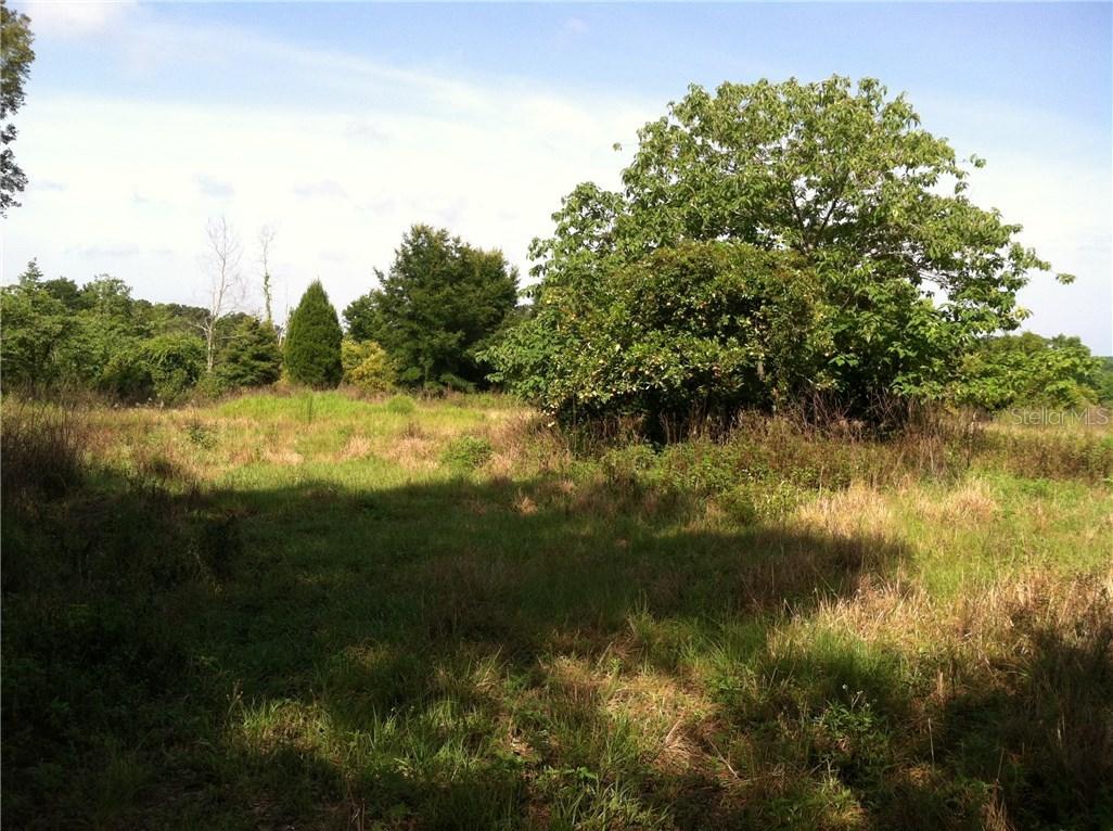 Powell, Brooksville, FL 34602