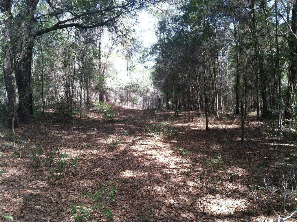 6075 Rupe Rd., Brooksville, FL 34602
