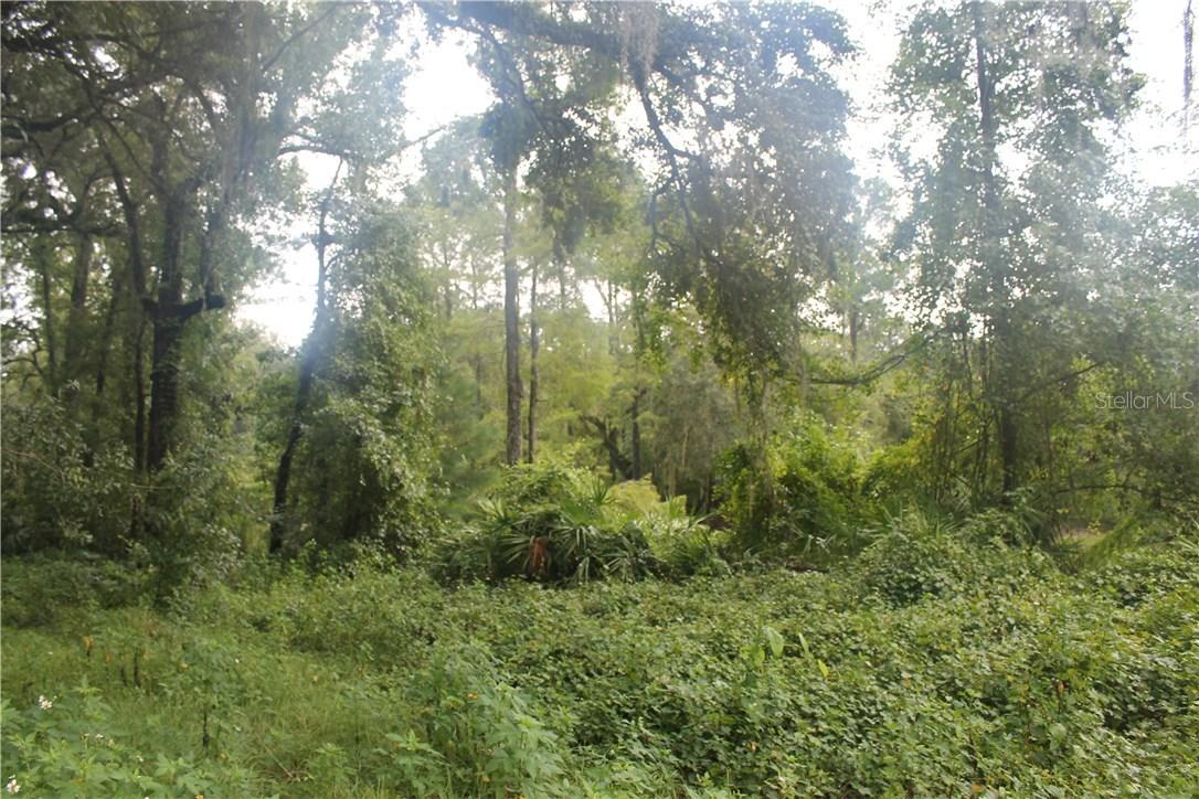 3408 Riderwood Dr., Dade City, FL 33523