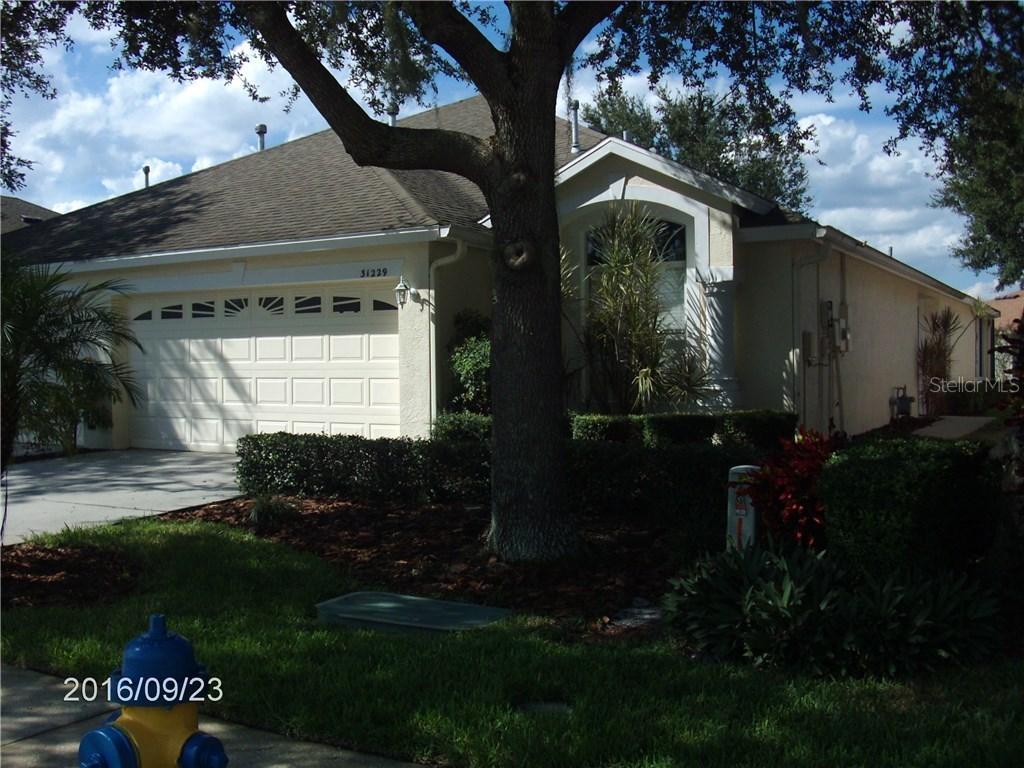 31229 Shaker Creek, Wesley Chapel, FL 33543