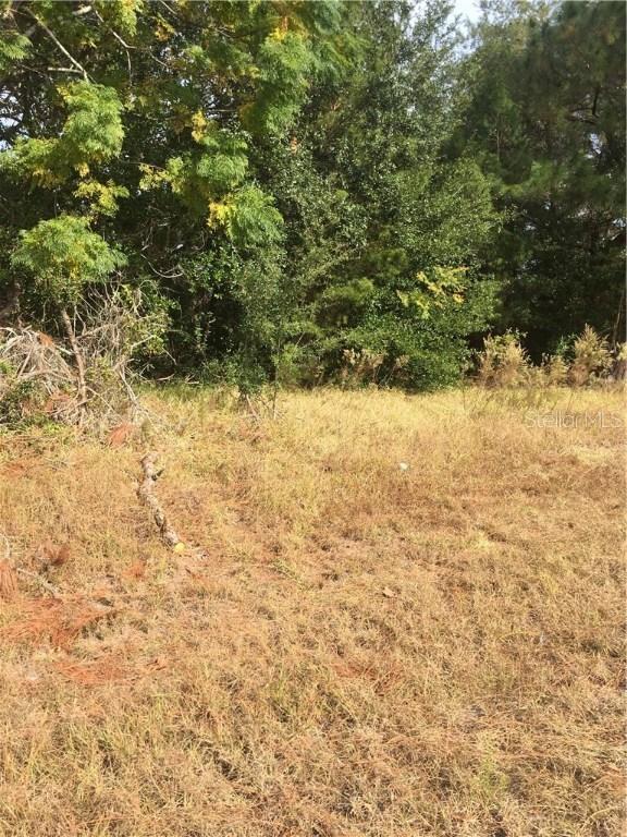 4351 Andres St., Spring Hill, FL 34608