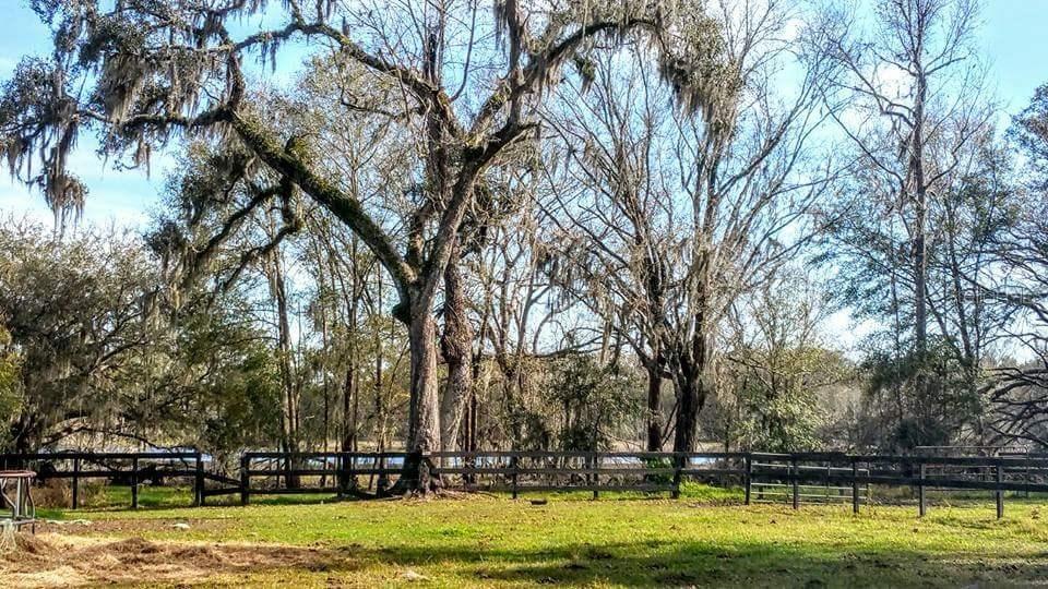 Palomino Lakes Dr, Dade City, FL 33523