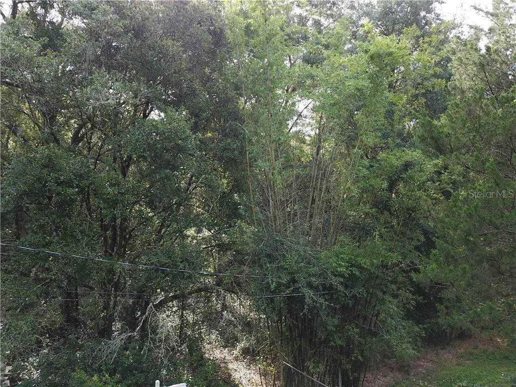 Citrus Ln., Spring Hill, FL 34610