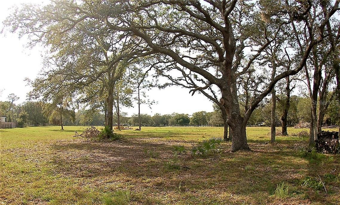 12076 Pasco Trails Blvd., Spring Hill, FL 34610