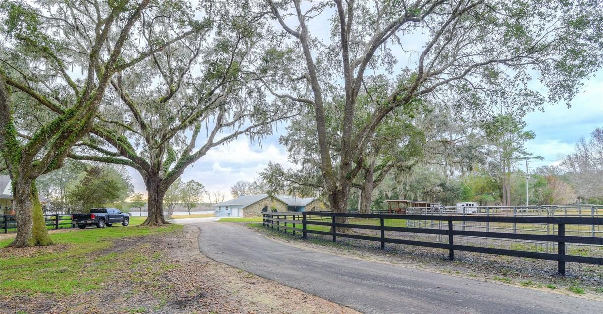 6339 Griffin Rd., Brooksville, FL 34601